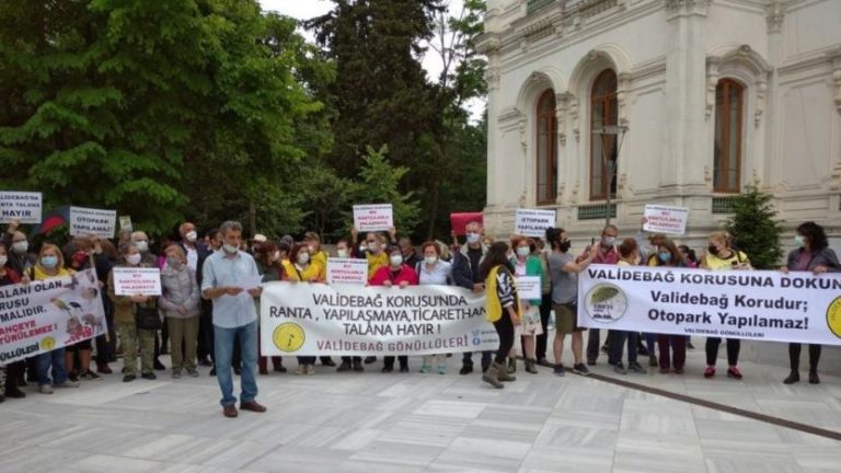 Validebağ’da Üsküdar Belediyesi eliyle doğa katliamı devam ediyor!