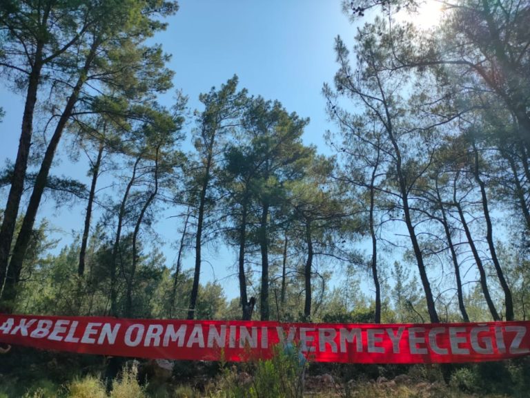 ACİL| İkizköy Akbelen Ormanının kömür madeni için kesilmesini durdurun!