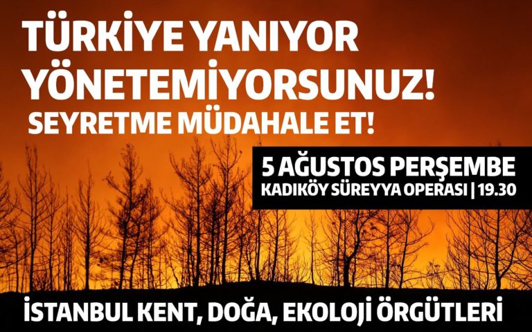 İstanbul’da kent, doğa ve ekoloji örgütlerinden AKP’nin yönetemediği yangın krizine karşı eylem çağrısı!
