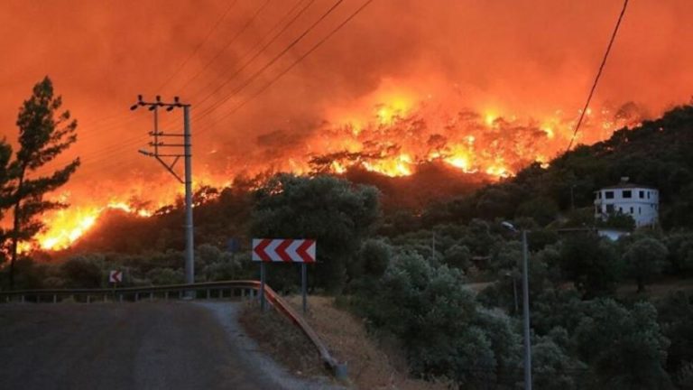 Yangınla değil halkla uğraşıyorlar: Orman yangınlarıyla ilgili paylaşımları nedeniyle 66 kişi hakkında adli süreç başlatıldı