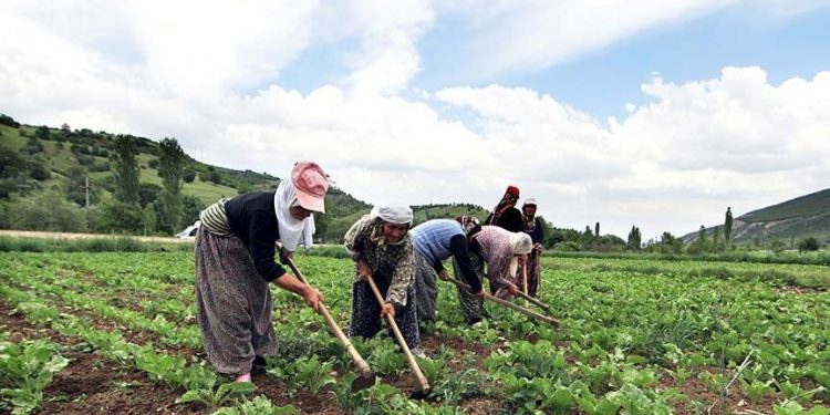 “Çiftçinin borcu son 18 yılda 56 kat arttı, 34 milyon dönümlük alan tarımsal üretimden çıktı”