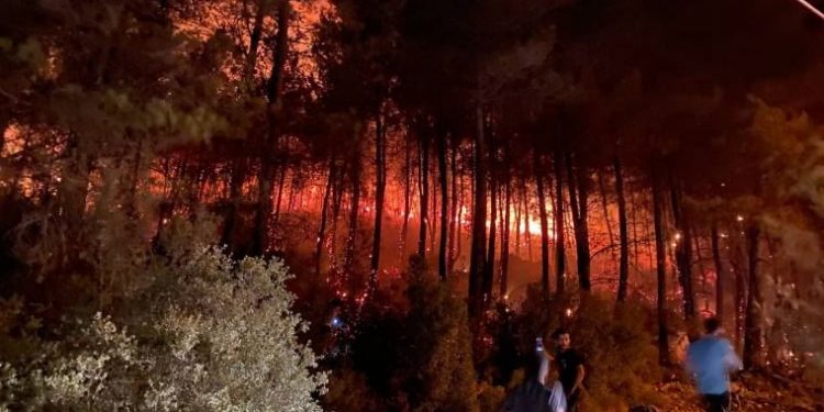 Orman Yangınları ve Orman Köylüleri İlişkisi- Saffet Uygur