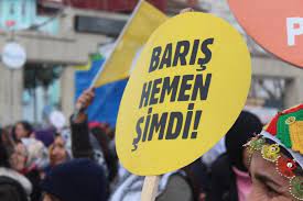 “Barış”ın ve “Erken Seçim”in sesinin sokak sokak örgütlenmesi- Koray Türkay