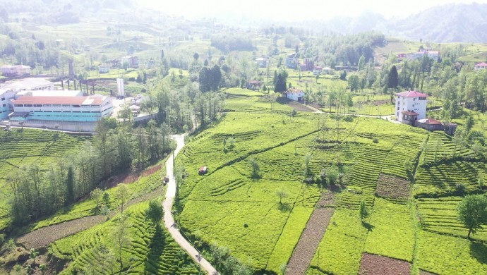 Çay bahçeleri, tarım arazileri ve su kaynakları bölgesine taş ocağı açılmasına onay